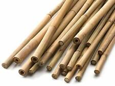 Bamboo garden canes for sale  Shipping to Ireland