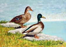 Ducks couple painting for sale  BRIDGNORTH