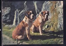 Cartolina cani del usato  Italia