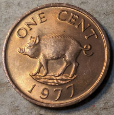 Bermuda cent 1977 for sale  Brooklyn