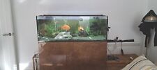 Pro fish large for sale  EAST GRINSTEAD