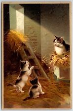Postcard cat kittens for sale  Aumsville