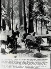 1950 press photo d'occasion  Expédié en Belgium