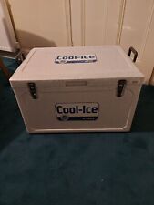 Insulated cool box for sale  MORPETH