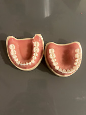 Dental typodont model for sale  Lubbock