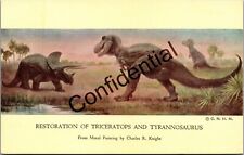Prehistoric dinosaur tricerato for sale  Sarasota