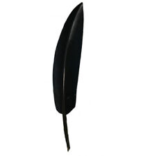 Penna nera naturale usato  Villanova Di Camposampiero