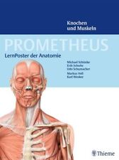 Poster prometheus lernposter gebraucht kaufen  Leipzig