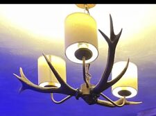 Deer antler ceiling for sale  LUTTERWORTH