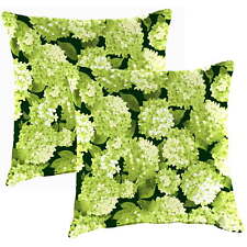 Hydrangea forest green for sale  USA