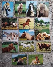 ältere pferdepostkarten gebraucht kaufen  Bockum