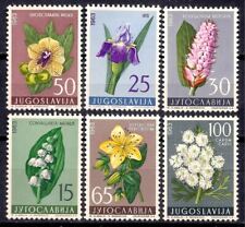 Jugoslavia 1963 fiori usato  Italia