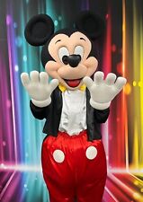 Hire micky mouse for sale  DUDLEY