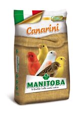 Manitoba canarini con usato  Pagani