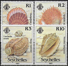 1987 seychelles shells usato  Milano
