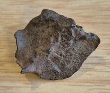 Gebil Kamil (Ungrouped) Iron Ataxite 24.35g Meteorite Top Quality Patina for sale  Shipping to South Africa