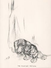 DACHSHUND LOVELY VINTAGE 1937 DOG ART PRINT PAGE by KF BARKER for sale  Shipping to South Africa