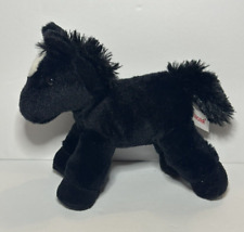 Aurora black horse for sale  Killeen