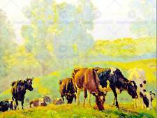 Landscape animals cattle for sale  EDINBURGH