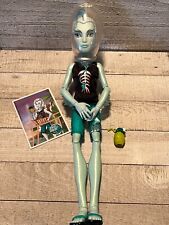 Monster high skull for sale  Quimby