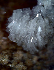 Baryte malines rare d'occasion  Castries