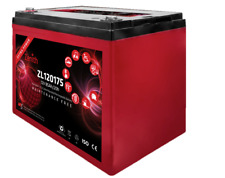 Zenith zl120175 batteria usato  Samolaco