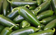 Vegetable hot pepper for sale  WREXHAM