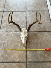 Whitetail alabama deer for sale  Gadsden
