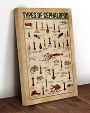 Types cephalopod knowledge for sale  Chicago