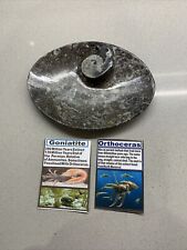 Fossil trinket dish for sale  HALIFAX