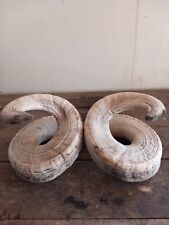 Wiltshire ram horns for sale  GLOUCESTER
