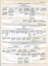 Bonaparte genealogical table.. d'occasion  Saint-Cyprien