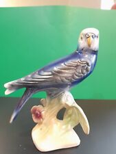 Blue luster budgerigar for sale  BEWDLEY