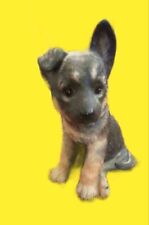 shepherd puppy for sale  Tucson