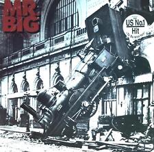 Mr. Big - Lean Into It EU LP 1991 (VG+/VG) Atlantic 7567-82209-1.* comprar usado  Enviando para Brazil