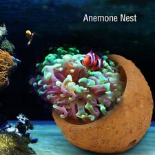 Prevent anemone nest for sale  Shipping to Ireland