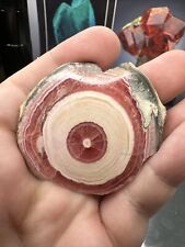Rhodochrosite Stalactite Crystal Mineral Bullseye Slice for sale  Shipping to South Africa