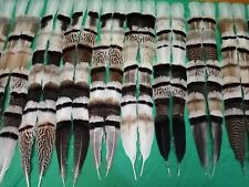Pairs turkey feathers for sale  Shipping to Ireland