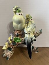 Vintage budgies parakeets for sale  Avon