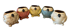 5 Mini Ceramic OWL Plant Pot Succulent Flower Planter Home Garden Multicolor for sale  Shipping to South Africa