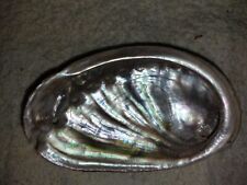 Coquillage ormeau abalone d'occasion  Rouen-