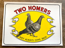 homing pigeons for sale  Sherman