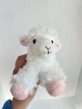 Aurora baby lamb for sale  Denver