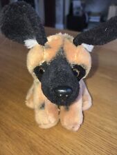 African painted dog for sale  PONTEFRACT