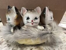 Three kittens cats for sale  Scottsdale