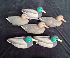 Mallard duck decoys for sale  Blanchard