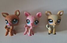 petshop biche d'occasion  Limoges-