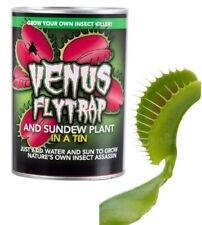 Grow venus fly for sale  LONDON