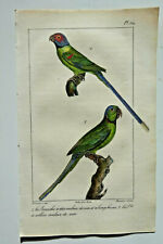 Gravure colorée oiseaux d'occasion  Brioude