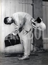 Vintage piccolo terrier usato  Roma